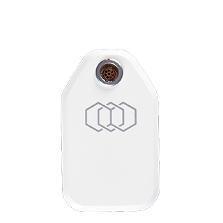 TITE ON EVOLVEX TITE ON EVOLVEX